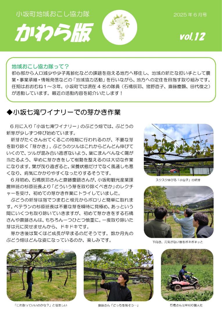 かわら版6月号