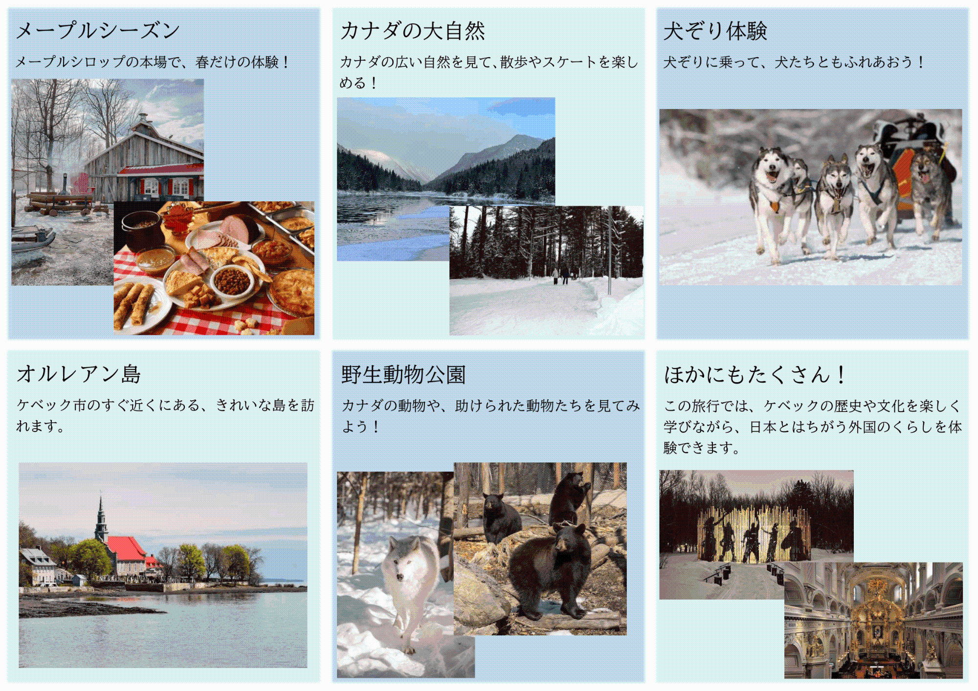 募集チラシ(裏面)